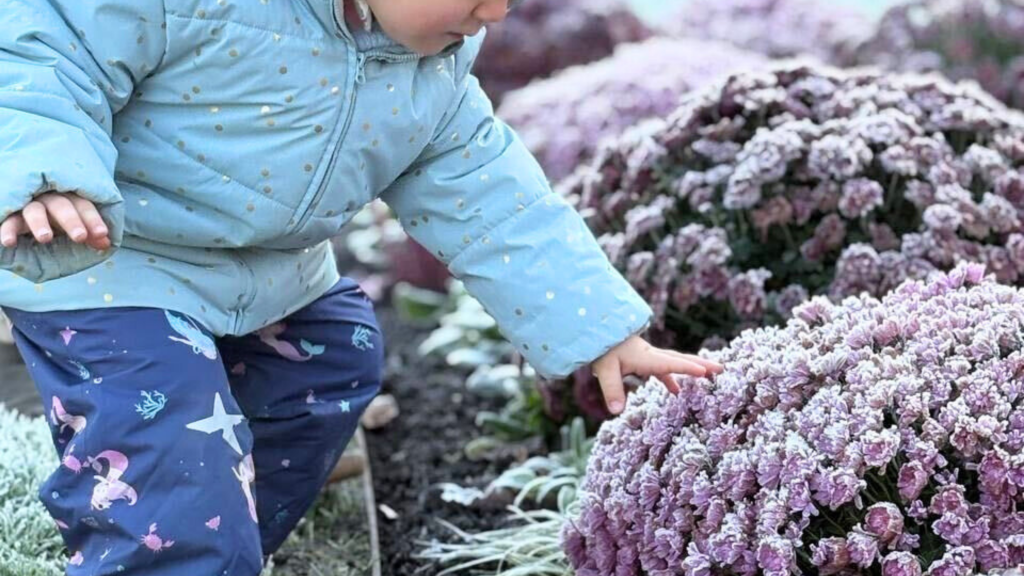 Image Krysalis sortie Orangerie Strasbourg