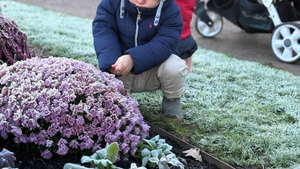 photo Krysalis sortie parc Orangerie Strasbourg